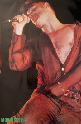 Obrázok produktu pre Morrissey – Počiatky – Plagát – 61x90 cm