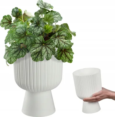Produktbild von KADAX Blumentopf in Kelchform "Golem", aus Kunststoff, Pflanzgefäß, Pflanzschale, 18 cm, Weiß