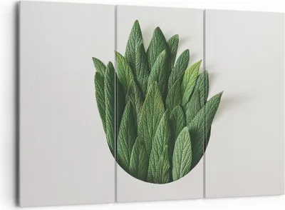 Produktbild von Bild auf Leinwand - Leinwandbild - 3 Teile - Salbei Medizin Blätter - 165x110cm - Wand Bild - Wanddeko - Wandbilder - Leinwanddruck - Bilder - Wanddekoration - Leinwand bilder - CE165x110-4859