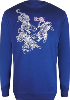 Produktbild von Cavalli Class - Sweatshirt für Herren SY347 (L) (Irisblau)