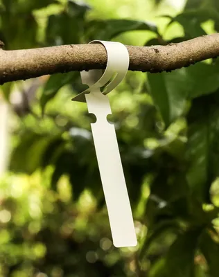 Image de Lot de 300 étiquettes pour plantes de jardin - Étiquettes en plastique de 21x2 cm, résistantes aux intempéries, réglables pour une utilisation en extérieur