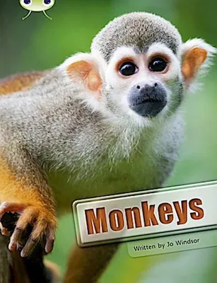 Image de Bug Club Guided Non Fiction Year 3 White A Monkeys