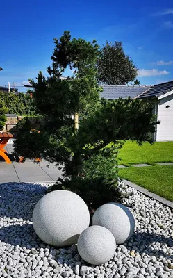 A garden scene with decorative spheres and a sculpted tree.