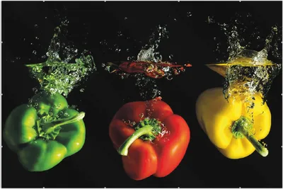 Produktbild von Wallario Wandbild Bunte Küche  Paprika in rot  gelb  orange und grün im Wasser, Größe: 61 x 91,5 cm, Poster mit rahmenlosen Bildhalter
