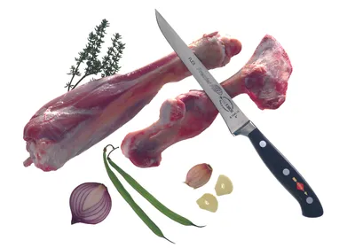 Image de F. DICK Premier Plus Ausbeinmesser Klingenlänge 15 cm Kochmesser Filetiermesser