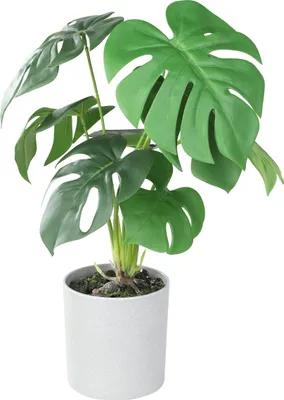 Produktbild von EGLO LIVING Kunstpflanze Tobetsu, künstliche Zimmerpflanze im Topf, naturgetreue Deko Pflanze für Wohnzimmer, Kunstpalme aus Kunststoff, 42 cm