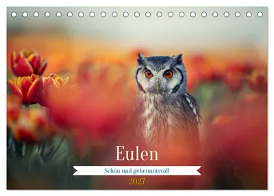 Productafbeelding van Uilen - prachtig en mysterieus (tafelkalender 2027, formaat DIN A5 liggend), CALVENDO maandkalender