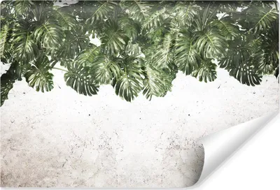 Produktbild von Muralo Vlies Fototapete MONSTERA-BLÄTTER Pflanzen Beton Wanddeko Br. 400cm x Hö. 280cm