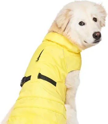 Obrázek produktu pro Obleček pláštěnka Canada Pooch žlutá S
