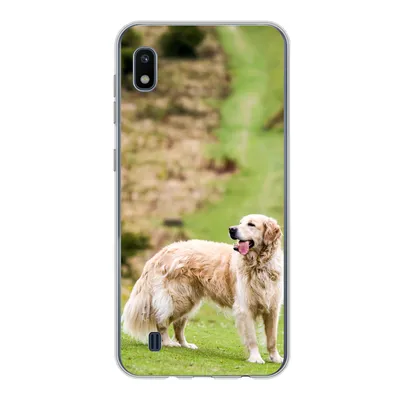 Produktbild von MuchoWow® Handyhülle Schutzhülle Hülle für Samsung Galaxy A10 Schönes Bild eines Golden Retrievers Silikon Softcase Handy Hülle - Schutzhülle