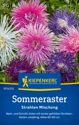 Produktbild von Kiepenkerl Sommerastersamen Strahlen 70 Pflanzen