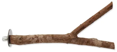 Image de Oiseau Bijou en bois naturel biddy 20cm