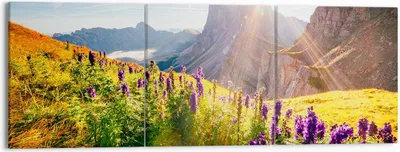 Produktbild von Bild auf Leinwand - Leinwandbild - Berge Wiese Blumen - 150x50cm - Wand Bild - Wanddeko - Leinwanddruck - Bilder - Kunstdruck - Wanddekoration - Leinwand bilder - Wandkunst - CA150x50-4008