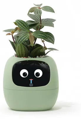 Obrázok produktu pre Inteligentný kvetináč s ovládaním cez aplikáciu a automatickým systémom zavlažovania – Grün