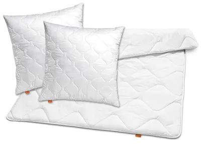Produktbild von 2 Kopfkissen 80 x 80 cm & Bettdecke 200 x 200 cm, Winterbettdecke, allergikergeeignet, 100% Mikrofaser, sleepling