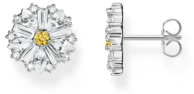 Image de Thomas Sabo Boucles d'oreilles H2169-051-4
