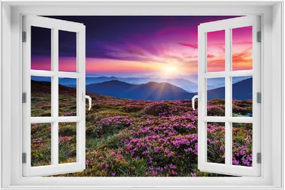 Produktbild von Wallario Wandbild mit Fenster-Illusion: Blumenbedeckte Wiese bei Sonnenuntergang, Größe: 61 x 91,5 cm, Poster mit weißem Aluminiumrahmen