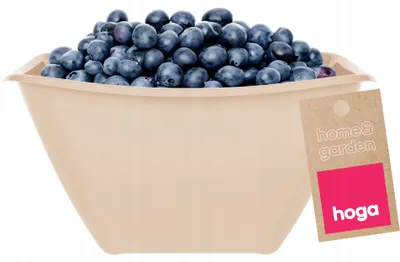 Produktbild von Hoga Küchenschüssel Salatschüssel Kunststoff 1,9L Beige