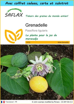Image de SAFLAX Ensemble-cadeau - Grenadelle - 20 graines - Passiflora