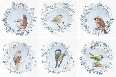 Produktbild von ITD - Reispapier-Set - RSM050 Wintervögel