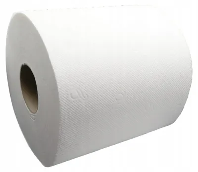 Zdjęcie produktu dla Ręcznik papierowy biały 1 szt. (maxi) roli warstwowy celuloza 19cm 100m 500 listków