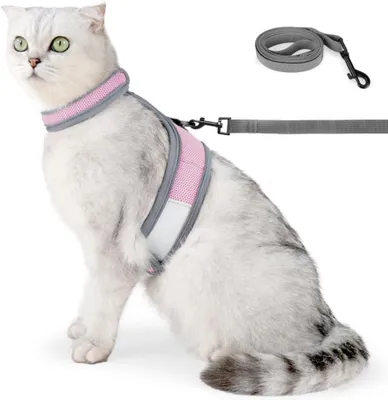 Productafbeelding van Halsband voor katten met reflecterend materiaal, ademend, verstelbaar, geschikt voor wandelingen