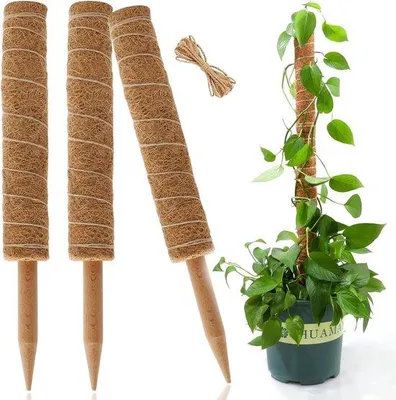 Productafbeelding van Famanu Mospaal voor klimplanten - 3 stuks steunpalen voor binnen- en buitengebruik