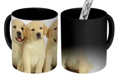 Obrázok produktu pre MuchoWow® Magický pohár Rozkošné šteniatka labradorského retrievera 350 ml Pohár na zmenu farby Darček Nápad na darček - Foto hrnček
