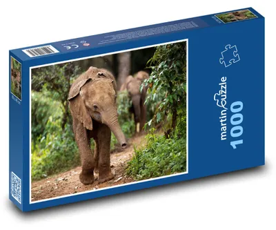 Zdjęcie produktu dla Puzzle 1000 Słoniątko w dżungli - martinpuzzle