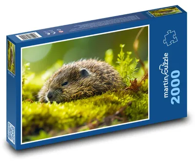 Obrázok produktu pre Puzzle 2000 Mláďatá vydier v prírode - martinpuzzle