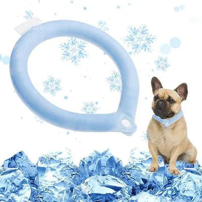 Image de Collier rafraîchissant pour chiens, refroidissement rapide, portable, été, chiens de petite à moyenne taille