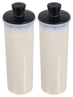 Entkalkungsfilterpatrone für Karcher SC3, SC3MX, Easyfix (2er-Pack)