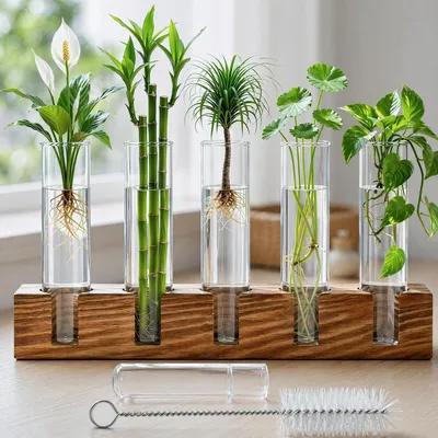 Productafbeelding van Probeerbuis met houder, borosilicaatglas, 15 cm, voor hydrocultuur