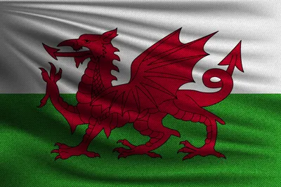 Produktbild von Flagge Wales mit Ösen - reißfest - 90 x 150 cm