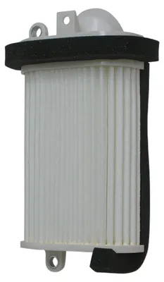 Imagen del producto de Filtro de aire para Yamaha XP 530 TMAX (modelos 2012-2019) (HFA4510) (50)