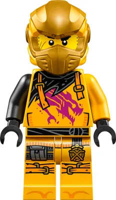 Obrázek produktu pro LEGO Ninjago: Arin