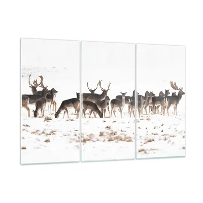 Produktbild von Bilder auf glas - Hirsch Winter Tierwelt Landschaft - 105x70cm - Glasbilder - Wandbilder - Kunstdruck - Wanddekoration aus Glas - Glas Bilder - Wandbild auf Glas - GCE105x70-3144