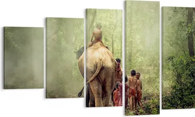 Produktbild von Bild auf Leinwand - Leinwandbild - Elefant Dschungel Nebel - 100x60cm - Wand Bild - Wanddeko - Leinwanddruck - Bilder - Kunstdruck - Wanddekoration - Leinwand bilder - Wandkunst - EG100x60-3438