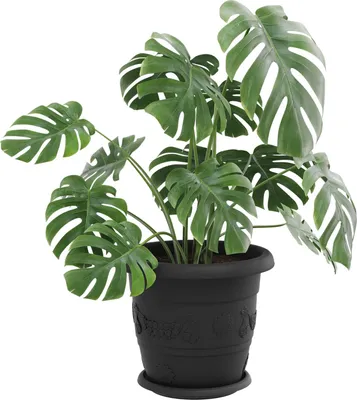 Obrázek produktu pro Květináče 24 pcs Černá Ø 30 x 25 cm Plast