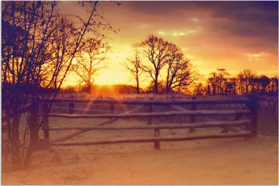Produktbild von ARTland Wandbild Alu für Innen & Outdoor Sonnenaufgang im Februar Größe: 90x60 cm