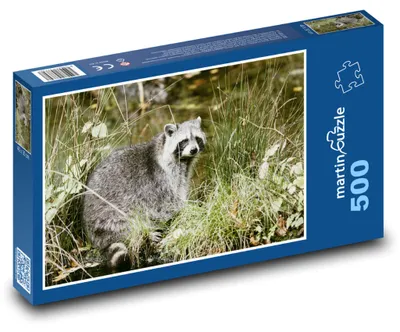 Obrázek produktu pro martinpuzzle - Puzzle 500 - Mýval - zvíře, příroda