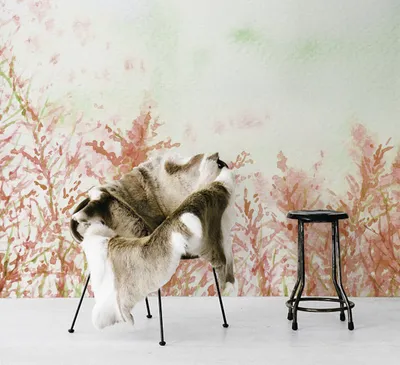 Produktbild von Coloray Fototapete 208x146 cm Latextapete Magicstick - Abstrakte Wiese Flowerslandscape.