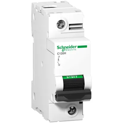 Immagine prodotto di Interruttore magnetotermico Schneider Electric C120H, 1P, 125A, caratteristica C, 15kA A9N18448