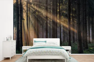 Produktbild von MuchoWow® Fototapete für Wohnzimmer oder Schlafzimmer Wandtapete Vinyl Motivtapete Bäume - Wald - Sonne - Pflanzen - 450x300 cm - Gemusterte