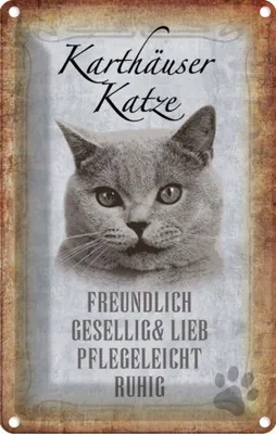 Produktbild von vianmo Blechschild 18x12 cm Karthäuser Katze lieb Tier Haustier