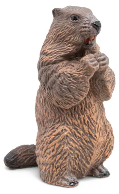 Produktbild von Papo 50110, Wild animal kingdom, Braun