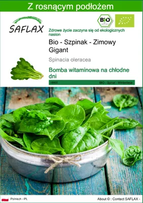 Zdjęcie produktu dla SAFLAX - Bio - Szpinak - Zimowy Gigant - 250 Nasiona - Z podłożem uprawowym wolnym od zarazków - Spinacia oleracea