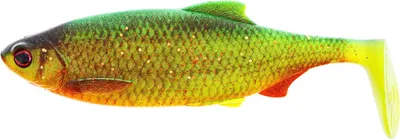 Produktbild von Westin Ricky The Roach Shadtail 10 cm Firetiger Rudd