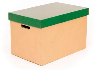 Aufbewahrungsboxen mit Deckel, Karton, 53x33x33 cm, 2 Stück