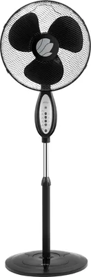 A black and silver standing fan.